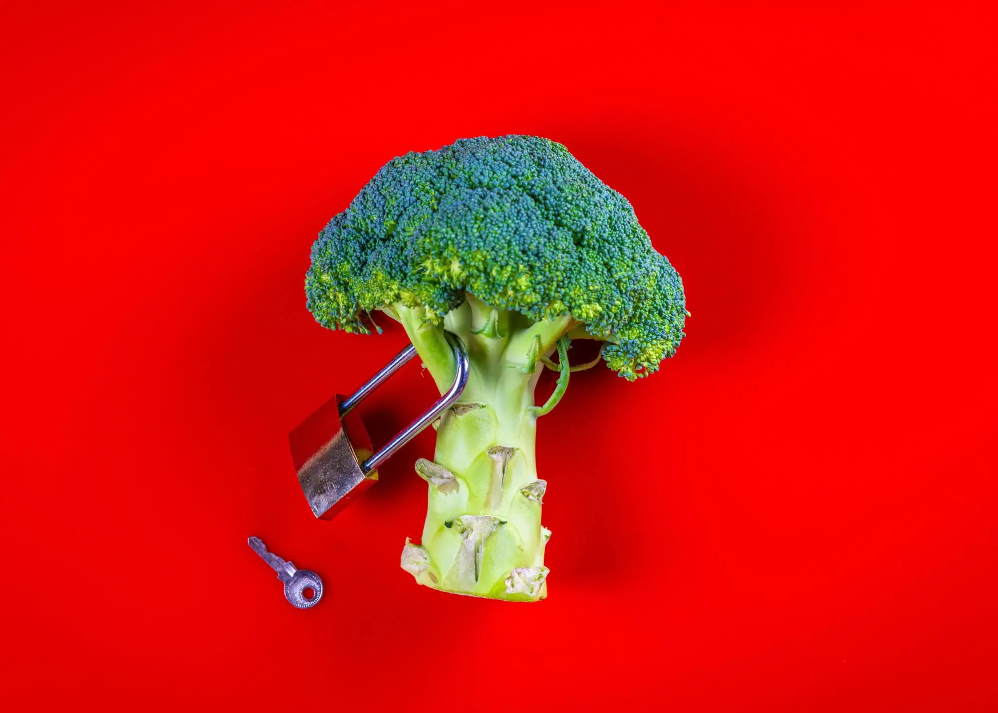 20231123_ps_meten-is-eten-13