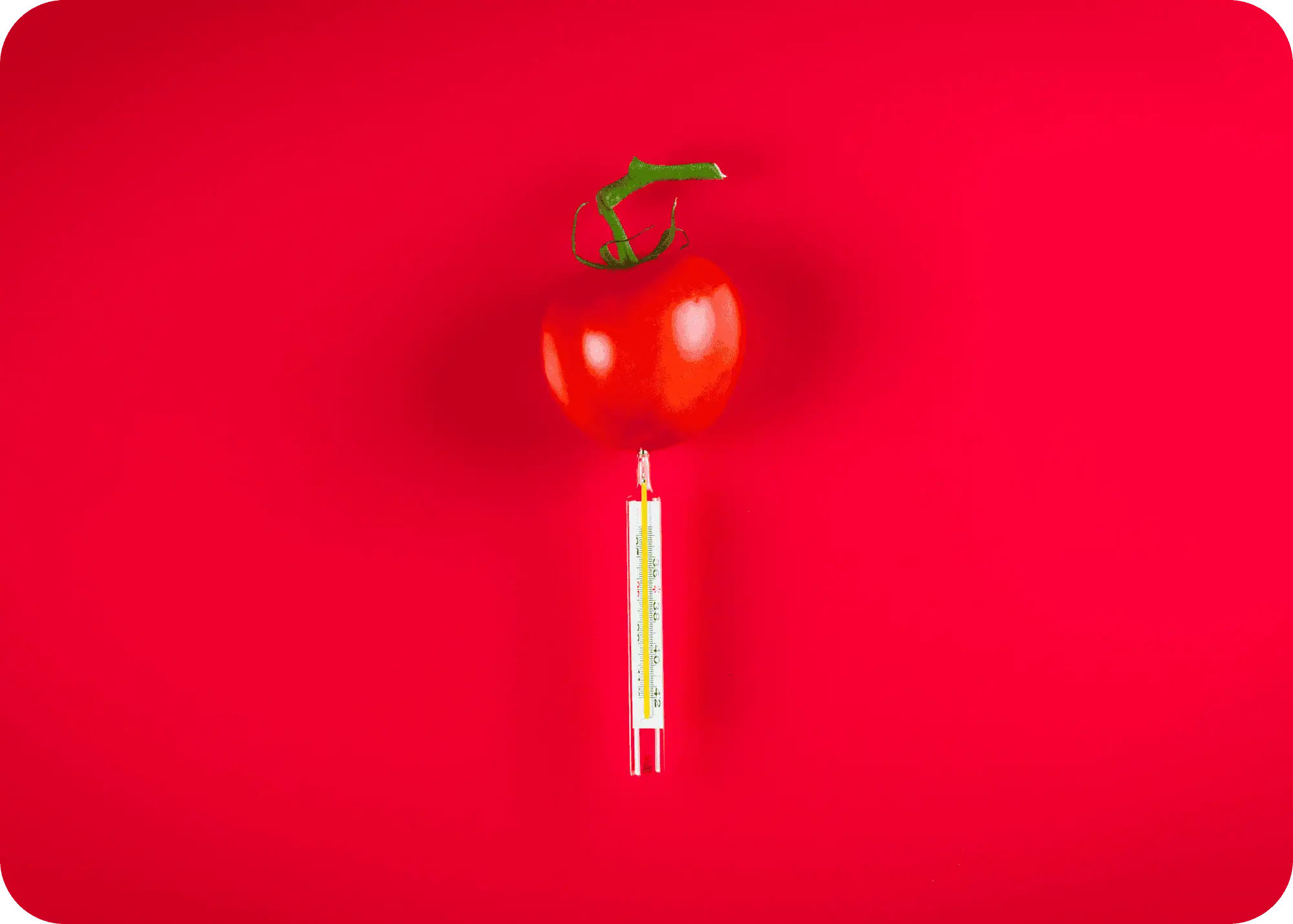 ps-meten-is-eten-rood